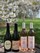 May Club Release Event Sunday, May 21st - View 1
